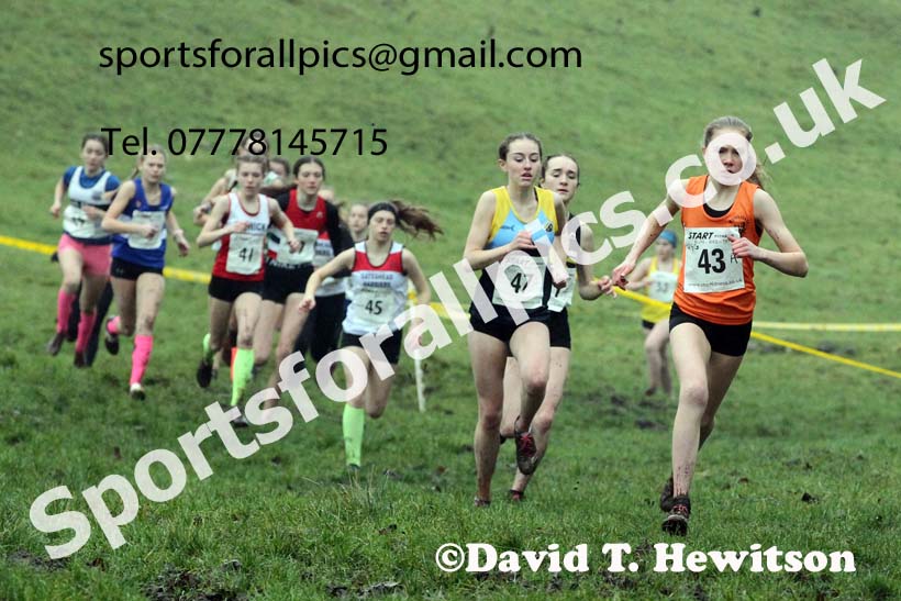 Girls under-15s, NECAA Junior Cross Country Relays, Thornley Farm, Peterlee, Saturday, December 12th. Photo: David T. Hewitson/Sports for All Pics